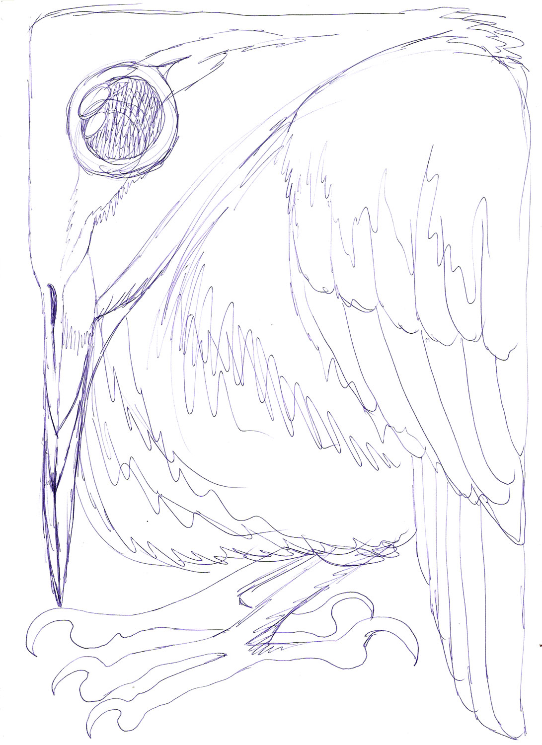 Arjan-Bosch-Grenzen-van-het-bestaan-1e-schets tekening/voorstudie IJsvogel - Arjan Bosch 2021