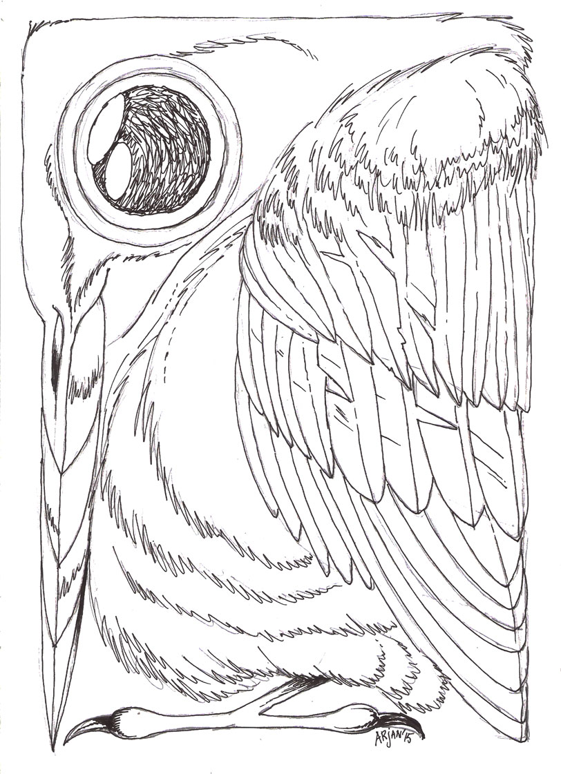 Arjan-Bosch-Grenzen-van-het-bestaan-2e-schets-03 tekening/voorstudie IJsvogel - Arjan Bosch 2021