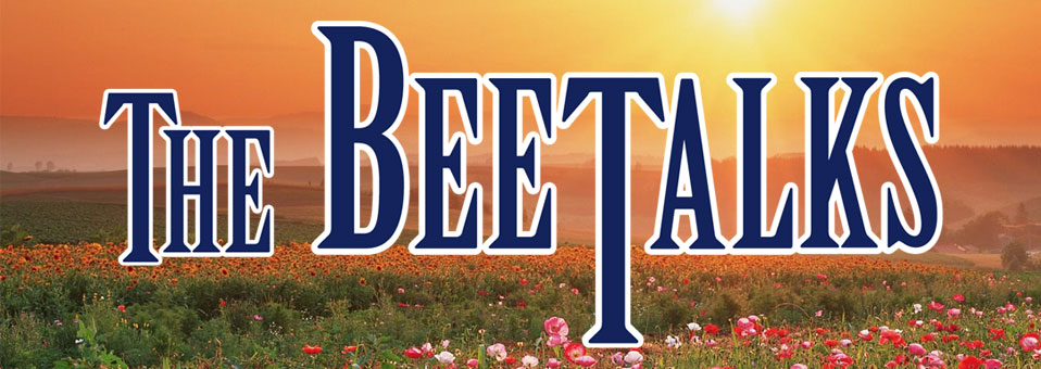 the-bee-talks-uitgelicht-v2-0