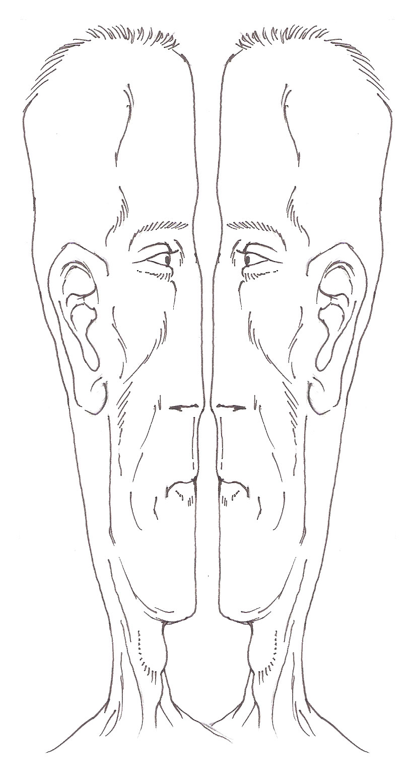 de_confrontatie tekening/voorstudie IJsvogel - Arjan Bosch 2021
